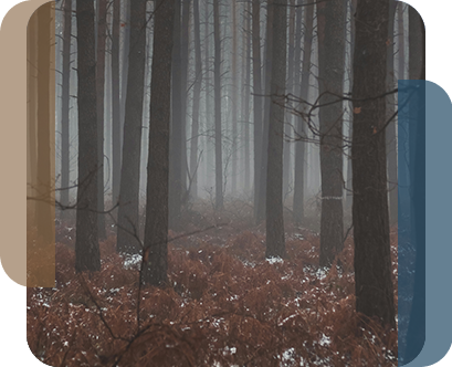 financial-diligence-problem