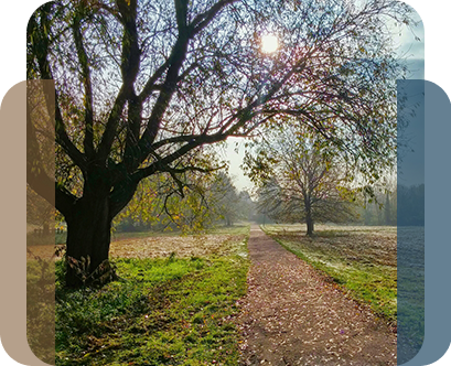 fpa-cfo-advisory-benefits